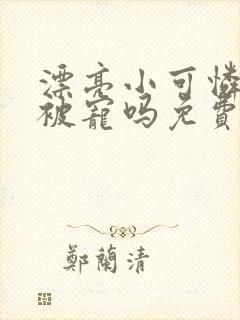 漂亮小可怜也会被宠吗免费阅读