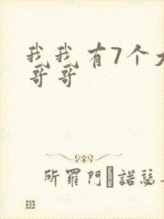 我我有7个大佬哥哥