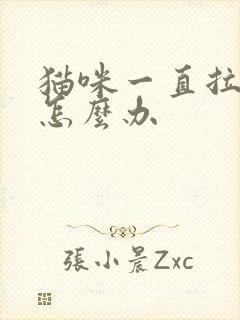 猫咪一直拉软便怎么办