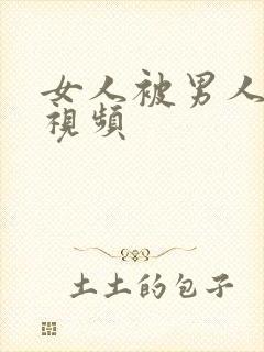 女人被男人操爽视频