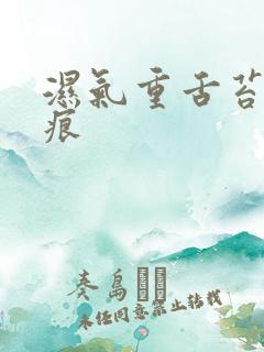 湿气重舌苔有齿痕