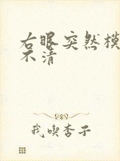 右眼突然模糊看不清