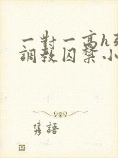 一对一高h强制调教囚禁小说