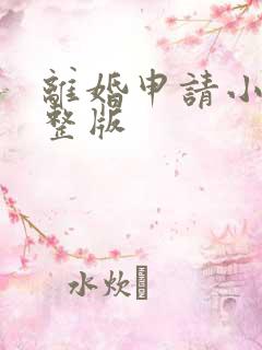 离婚申请小说完整版