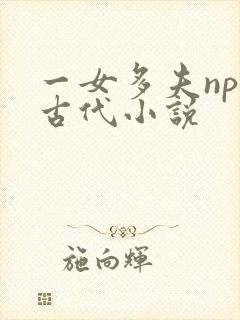 一女多夫np的古代小说