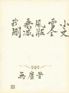 我乘风雪小说未删减版全文阅读