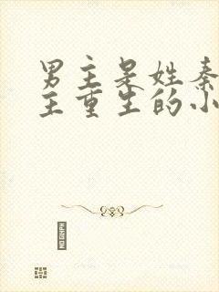 男主是姓秦的女主重生的小说