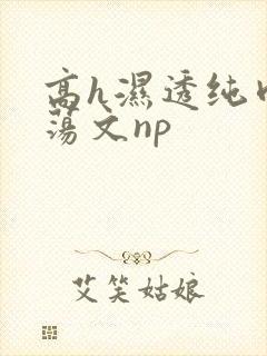 高h湿透纯肉放荡文np