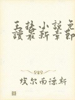 王扶小说免费阅读最新章节无弹窗