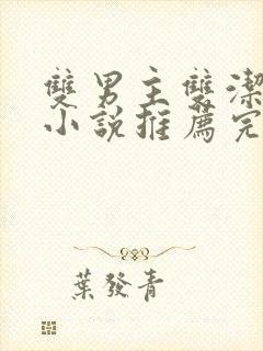 双男主双洁甜文小说推荐完结