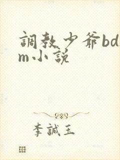 调教少爷bdsm小说