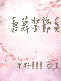 王苗壮魏贞小说最新章节更新时间