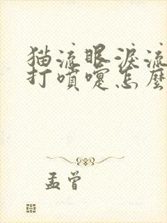 猫流眼泪流鼻涕打喷嚏怎么回事