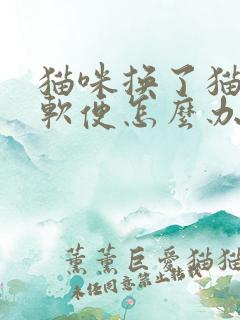 猫咪换了猫粮拉软便怎么办