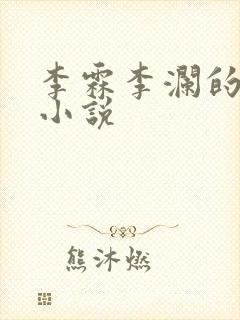 李霖李澜的官场小说