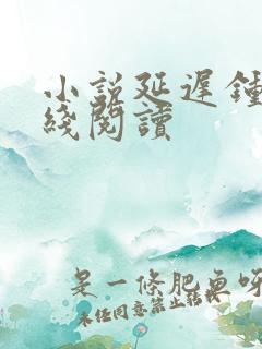 小说延迟钟情在线阅读