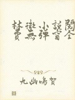 林微小说阅读免费无弹窗全文