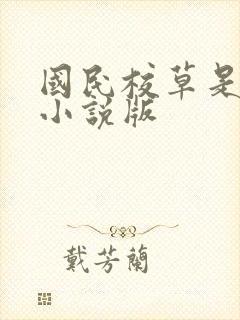 国民校草是女生小说版