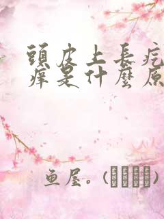 头皮上长疙瘩很痒是什么原因