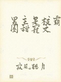 男主是校霸的校园甜宠文