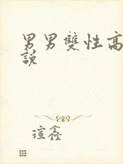 男男双性高h小说