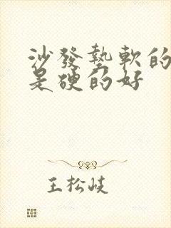 沙发垫软的好还是硬的好