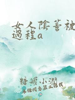 女人阴蒂被舔全过程a