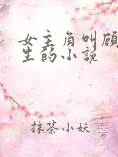 女主角叫顾晚重生的小说