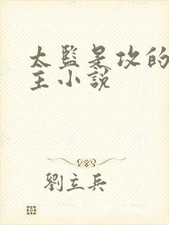 太监是攻的双男主小说