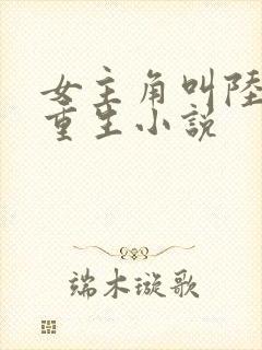 女主角叫陆晚的重生小说