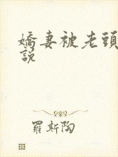 娇妻被老头干小说