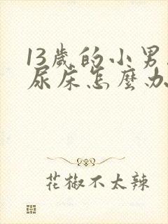 13岁的小男孩尿床怎么办