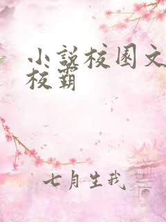 小说校园文男主校霸