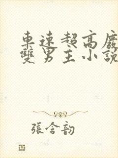 车速超高废文的双男主小说推荐短篇