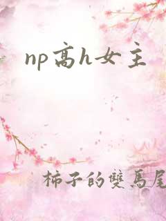 np高h女主