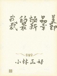 我的极品美女总裁最新章节列表