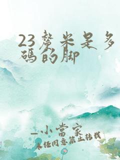 23厘米是多大码的脚