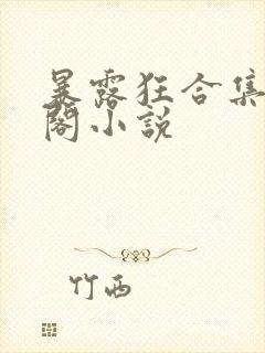 暴露狂合集笔趣阁小说