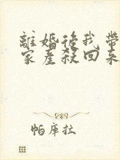 离婚后我带千亿家产杀回来了小说