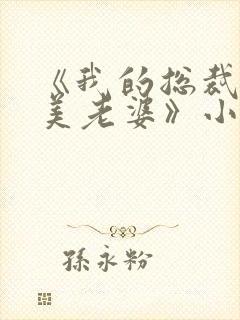 《我的总裁白富美老婆》小说