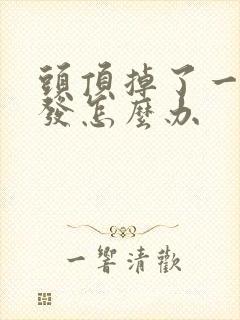 头顶掉了一块头发怎么办