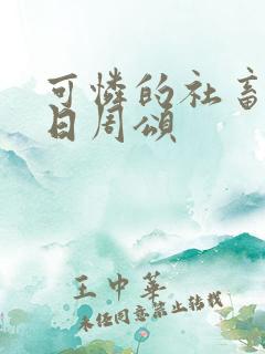 可怜的社畜东度日周颂