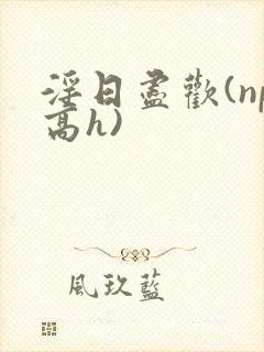 淫日尽欢(np高h)