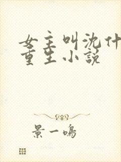 女主叫沈什么的重生小说