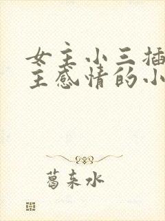 女主小三插足男主感情的小说