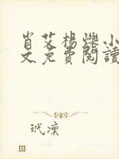 肖艾杨烁小说全文免费阅读笔趣阁