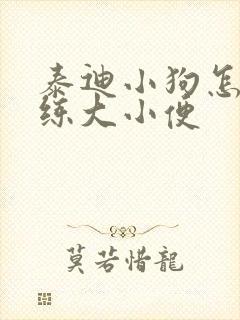 泰迪小狗怎么训练大小便