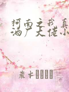 柯南之我真不是酒厂大佬小说