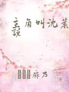 主角叫沈叶的小说