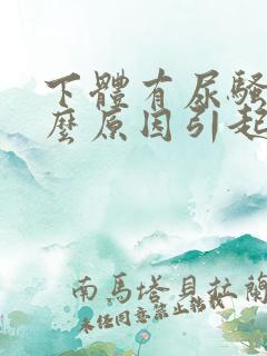 下体有尿骚味什么原因引起的